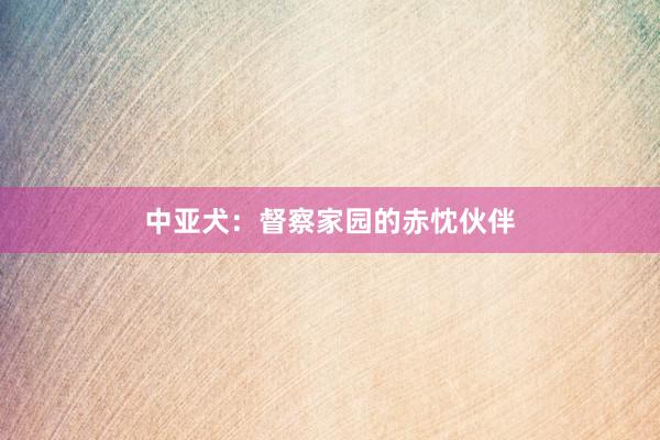 中亚犬：督察家园的赤忱伙伴