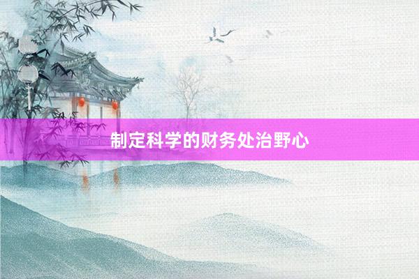 制定科学的财务处治野心